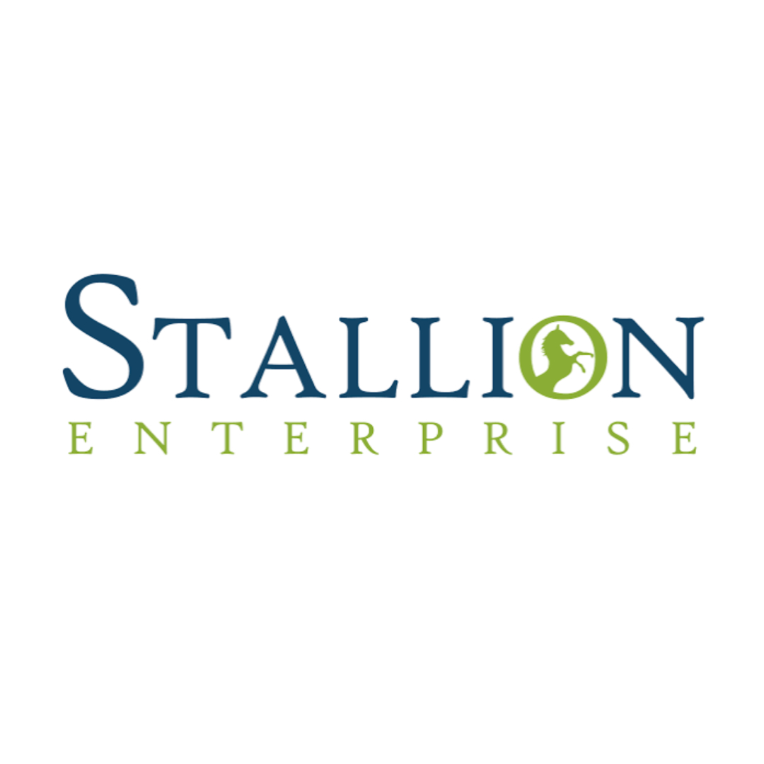 STALLION ENTEPRISES logo